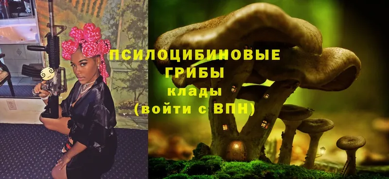 Галлюциногенные грибы Magic Shrooms  Верхоянск 